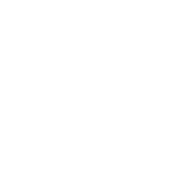 Electrical & Starter