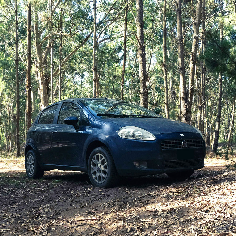 Fiat Repair and Service in Ashland & Orwigsburg, PA